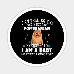 I am telling you, I'm not a pomeranian,My mom said I am a baby Magnet